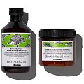 Davines Naturaltech Renewing - Поддержание здоровья и профилактики процессов старения волос и кожи головы